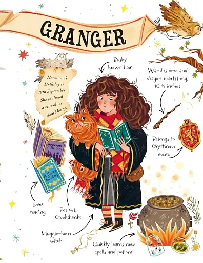 Pocket Potters: Hermione Granger - Ролінґ Джоан - фото 3