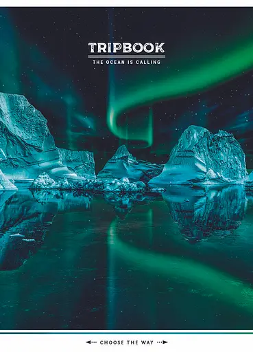 Комплект 4 шт общих тетрадей. Тетрадь Школярик А5 80 л. в линию 5073 4823088219326 - фото 3