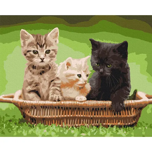 Картина по номерам Котята в корзине Brushme 40x50 см разноцветная 000277821 - фото 1