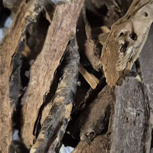 100 г бадан товстолистий/монгольський чай коріння сушене - свіжий урожай