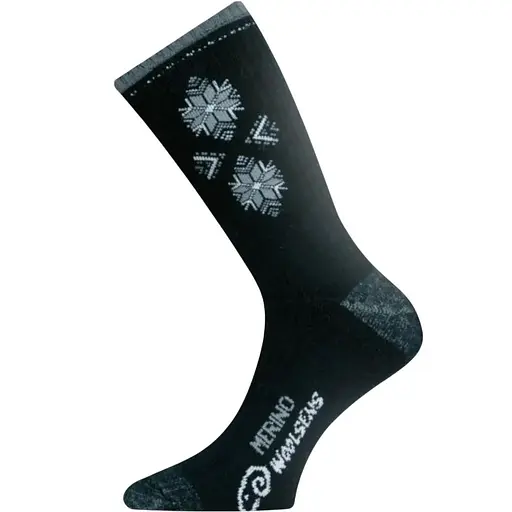 Носки Lasting SCK M Черный
