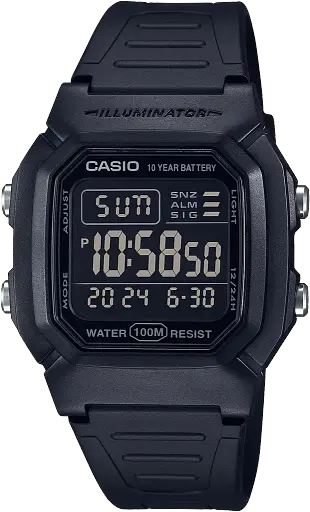 Часы Casio Timeless Collection W-800H-1BVES