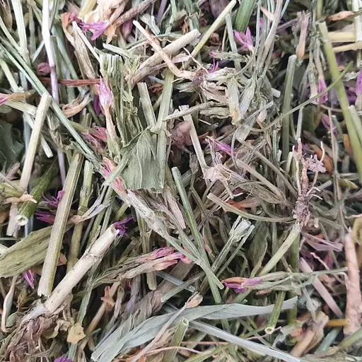 Золототысячник трава сушеная - свежий урожай 100 г 