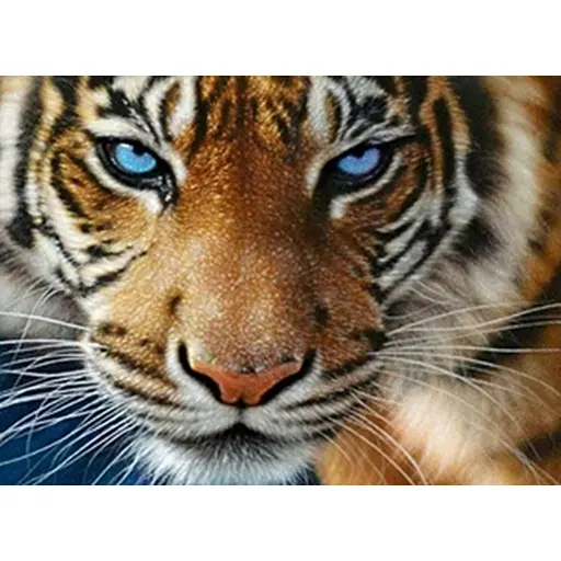 Алмазна мозаїка Тигр 40*50 см картини за номерами зі стразами на підрамнику повна викладка - фото 1