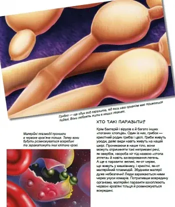 Герої та лиходії в нашому тілі - фото 7