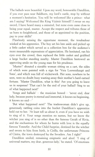 The Witcher. Blood of Elves - фото 9