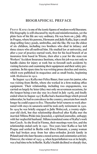 The Man Who Disappeared (America) - фото 4