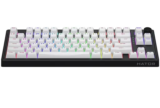 Клавіатура ігрова механічна HATOR HTK-3180-UA Wireless Skyfall 80 Black-White - фото 4