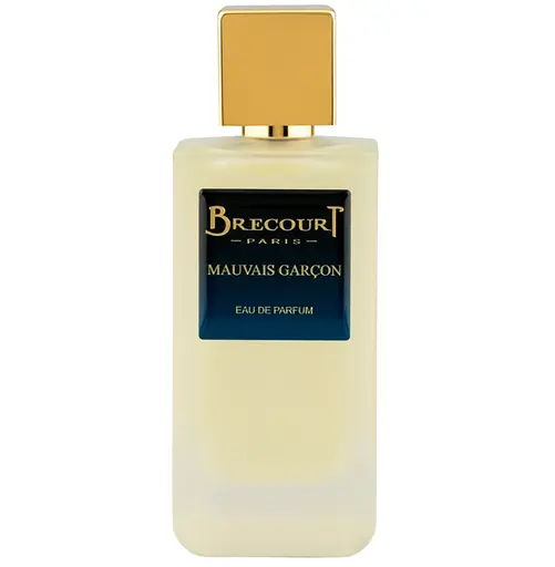 Оригинал Brecourt Mauvais Garcon 100 мл ТЕСТЕР парфюмированная вода - фото 1