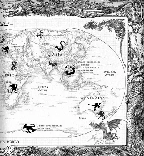 The Ultimate Illustrated Compendium: The Complete Guide to Dragons - фото 10