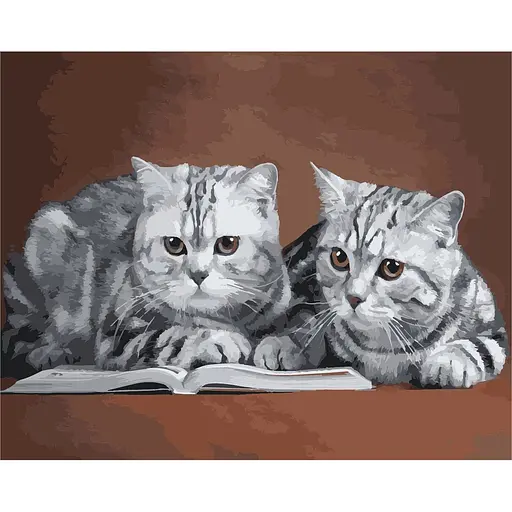 Картина по номерам Сірі коти ArtStory 40х50 см різнокольорова 000169062