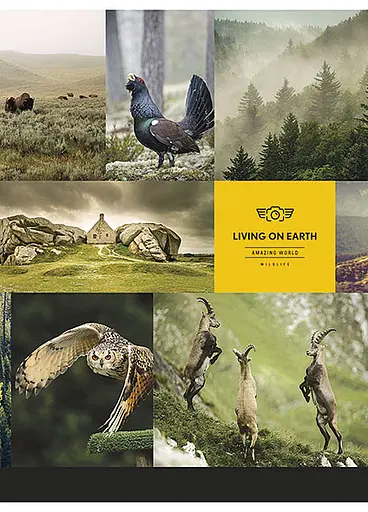 Комплект 4 шт загальних зошитів. Зошит Школярик А5 80 арк. у лінію 5057 4823088207736 - фото 3