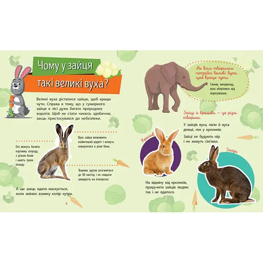 Обучающая книжка Почемучки "Животные" 875008 вопросы и ответы - фото 4