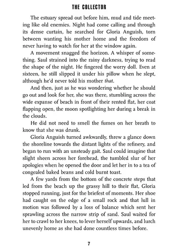 The Collector - фото 4