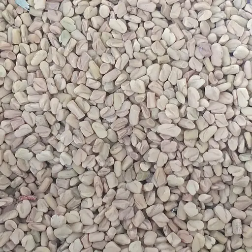 100 г пажитник сенной семена/плоды сушеные - свежий урожай