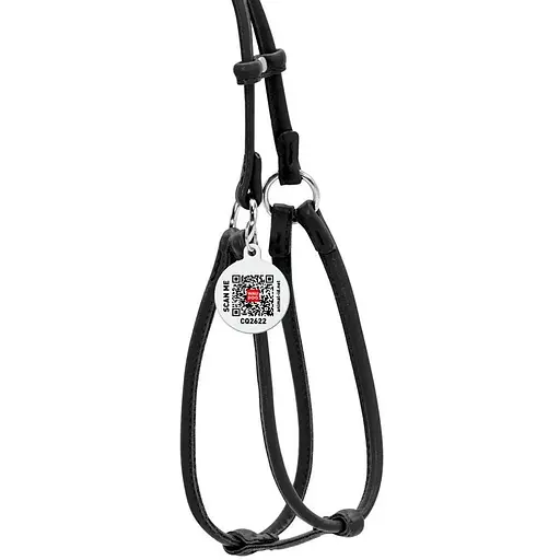 Шлея з повідцем для собак Waudog Glamour шкіряна з QR паспортом, кругла, чорний - фото 2