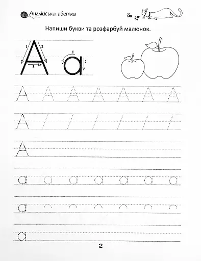 Прописи. English alphabet 4+ - фото 3