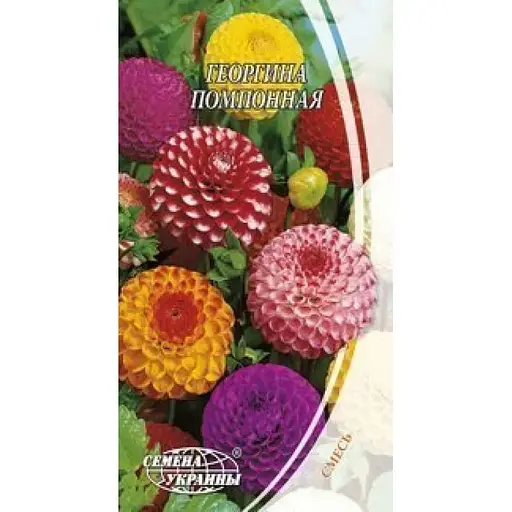 Насіння Жоржина Насіння України Помпонна (суміш) 0.2 г (780800)
