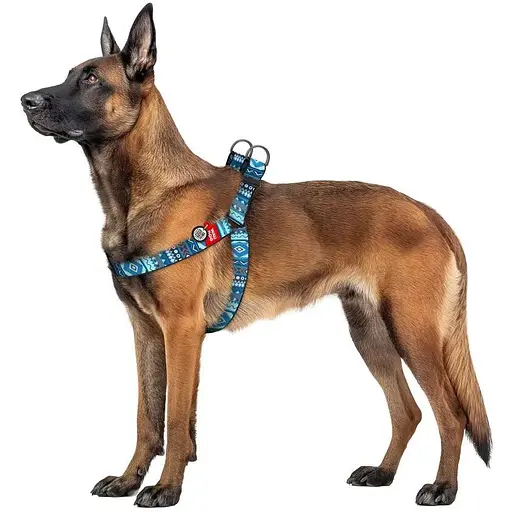 Шлея для собак Waudog Nylon з QR паспортом, малюнок "Етно синій", пластиковий фастекс, XL - фото 3