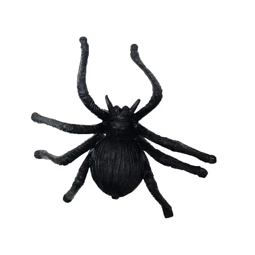 Павук з товстенькими ніжками - фото 1