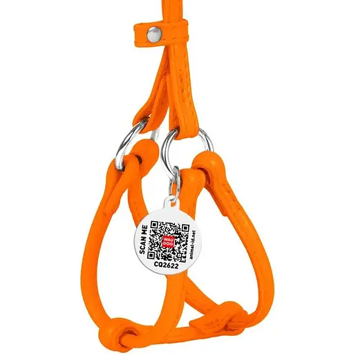 Шлея з повідцем для собак Waudog Glamour шкіряна з QR паспортом, кругла, помаранчевий - фото 2