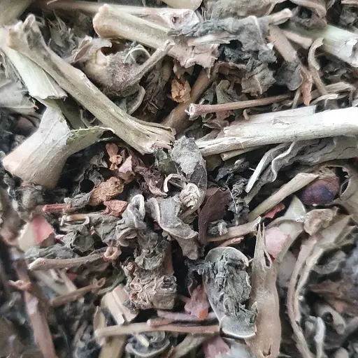 100 г блекота трава сушена - свіжий урожай