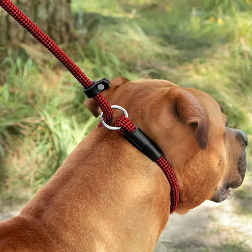 Поводок-удавка для собак Barksi Active (длина 183 см диаметр 12 мм) шахматы черно-красный - фото 5