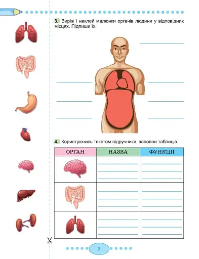 Я досліджую світ 3 клас. Робочий зошит з інтегрованого курсу. Частина 2 - фото 3