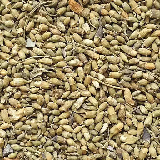 100 г софора японська цвіт сушений - свіжий урожай