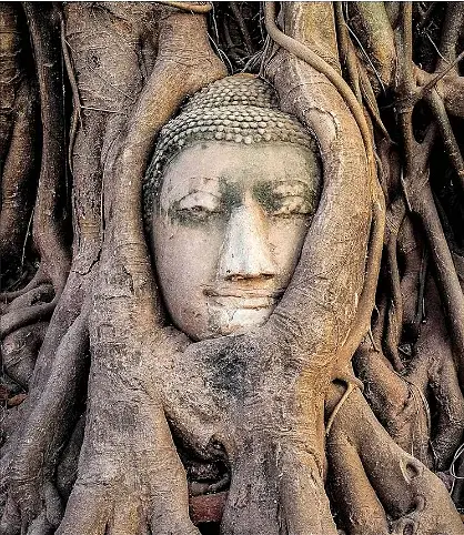 Philosophers Who Changed History - фото 3