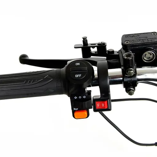 Трехколесный ситикоко EVOBIKE Grizzly X3 Pro с грузкой корзиной - фото 4