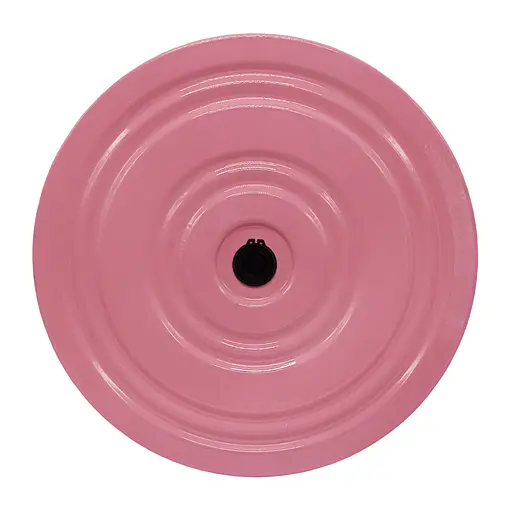 Диск здоров'я Newt NE-CZ-040 до 170 кг, метал - фото 3