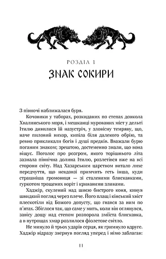 Богатир. Царство у полум’ї. Книга 3 - фото 5