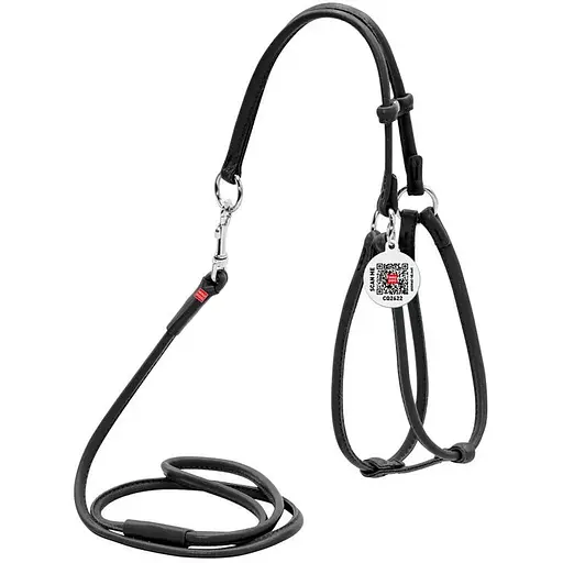 Шлея з повідцем для собак Waudog Glamour шкіряна з QR паспортом, кругла, чорний