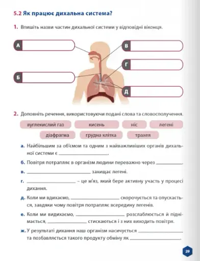 Пізнаємо природу 5 клас. Робочий зошит. Частина 2 - фото 5