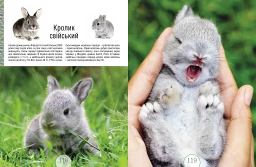 Малята звірята - фото 8