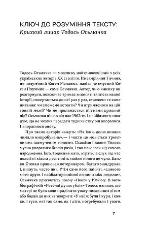 Старший боярин. План до двору - фото 6