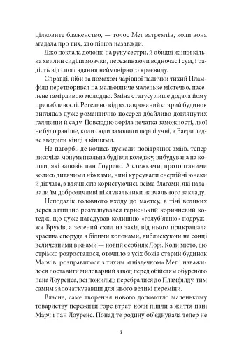 Хлопчики Джо - фото 4