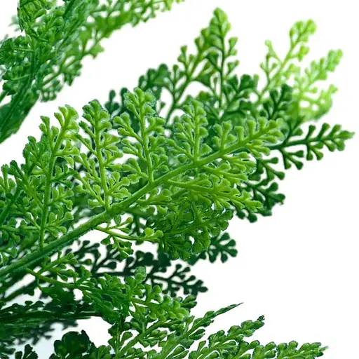 Штучна гілка Engard Папороть 48 см (TW-45) - фото 6