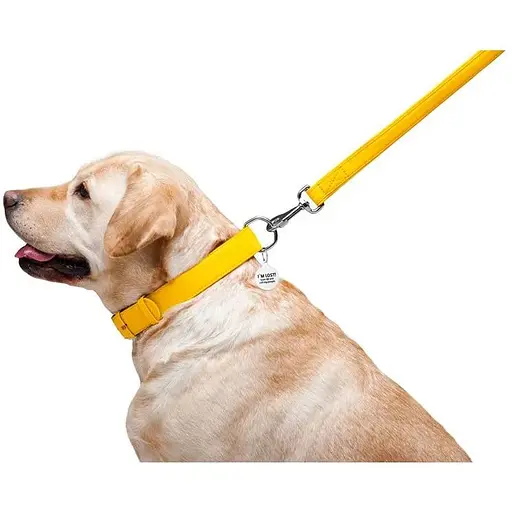 Повідець для собак Waudog Glamour шкіряний, жовтий - фото 6