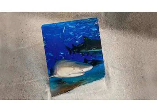 Карти гральні United States Playing Card Company Bicycle Sharks (2273) - фото 2