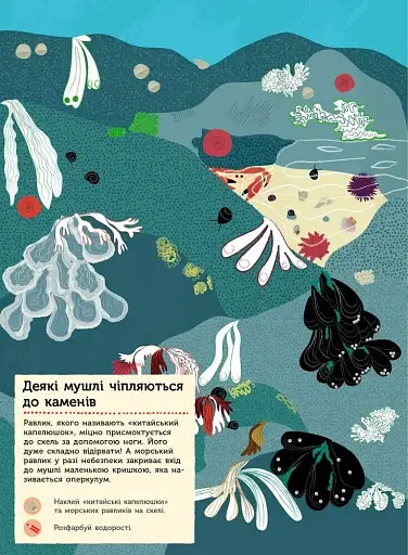 Моя книга природи: На березі моря - фото 2