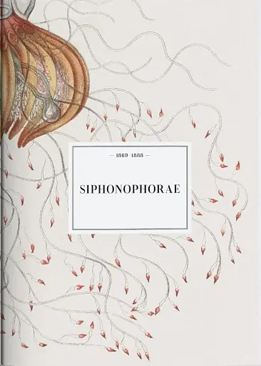 The Art and Science of Ernst Haeckel - фото 8