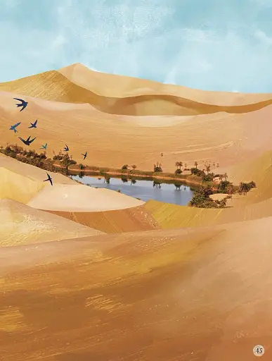 Through the Animal Kingdom - фото 6