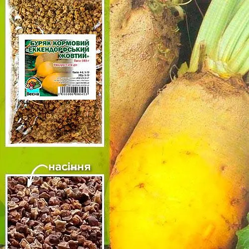 Свекла кормовая "Эккендорфская желтая" ТМ "Весна" 100г (25222) - фото 1