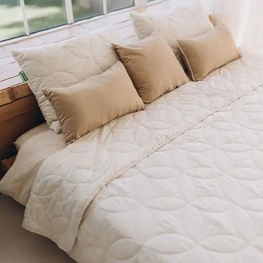 Набір Sonex Hawaii: покривало двостороннє 240х220 см + наволочка 70х50 см 2 шт. бежевий (SO102524)