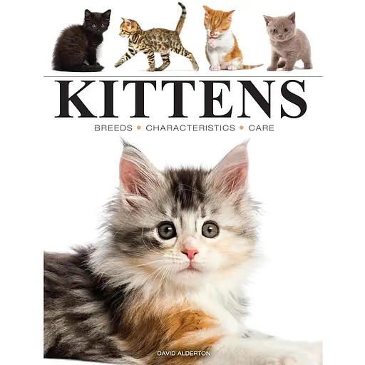 Kittens – Олдертон Дэвид - фото 1