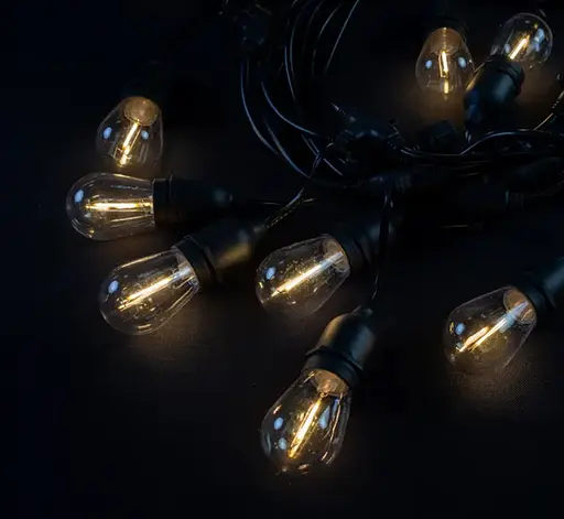 Електрогірлянда Белт-Лайт вулична Нитка Ретро 10 метрів 20 лампочок світлодіодна, садова від мережі 220В (B.15.10.E27.20.S+)