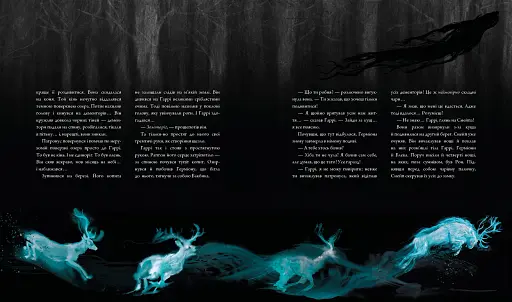 Гаррі Поттер і в'язень Азкабану. Ілюстроване видання - фото 5