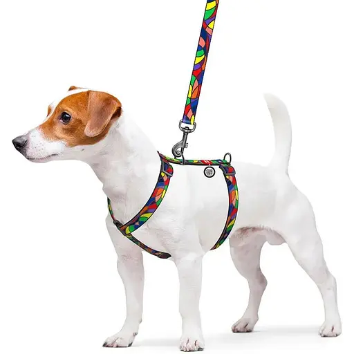 Шлея для собак Waudog Nylon анатомічна H-подібна з QR-паспортом, малюнок "Вітраж", пластиковий фастекс, S - фото 3